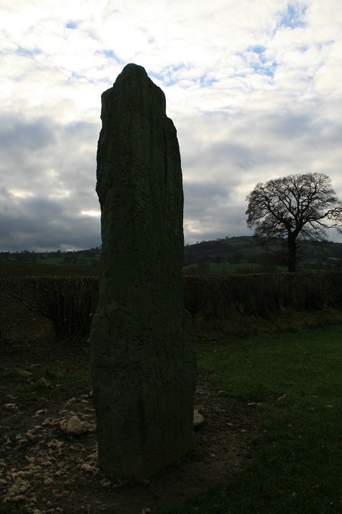 Maes Mochnant (Standing Stones) by postman