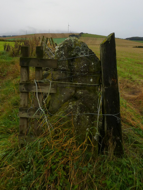 Liggars' Stane (Standing Stone / Menhir) by thesweetcheat