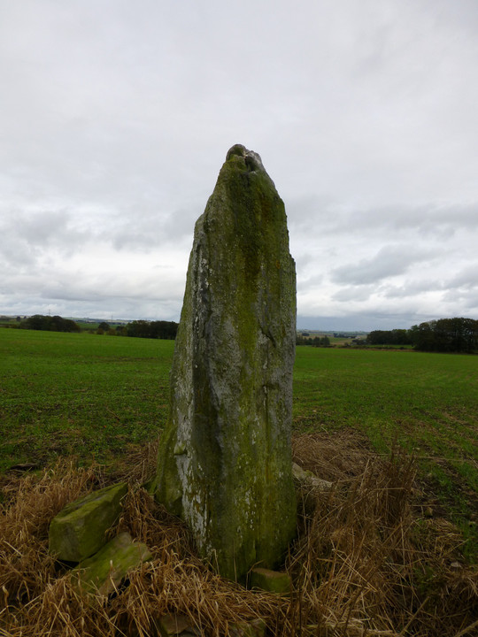 Monkshill (Standing Stone / Menhir) by thesweetcheat