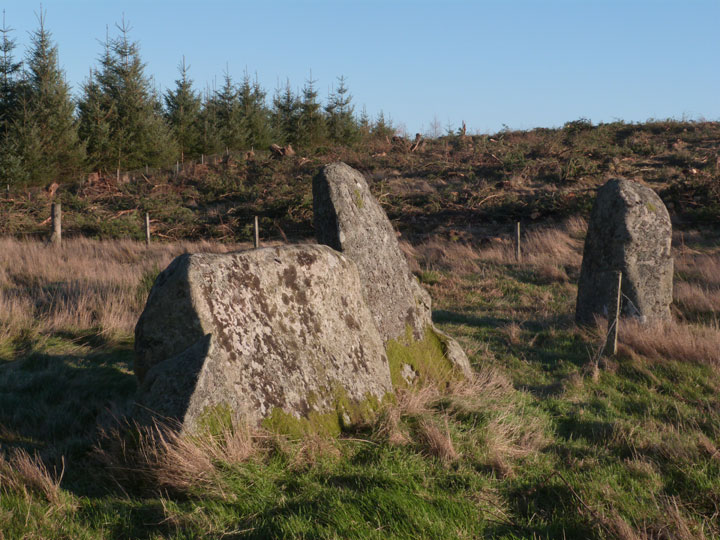 Tomnagorn (Stone Circle) by LesHamilton