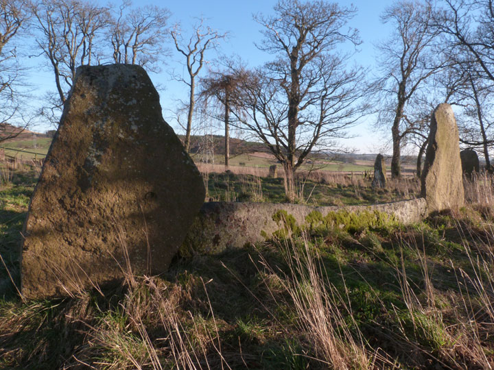 Sunhoney (Stone Circle) by LesHamilton