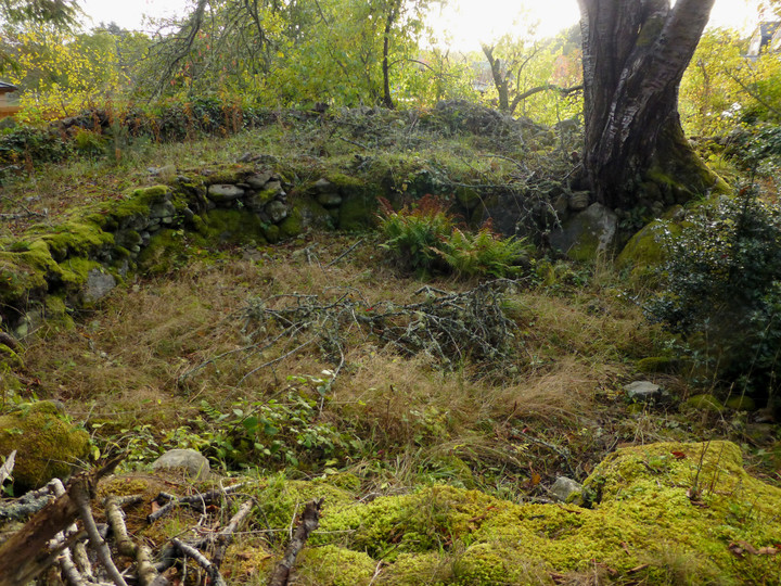 Culburnie (Clava Cairn) by thesweetcheat