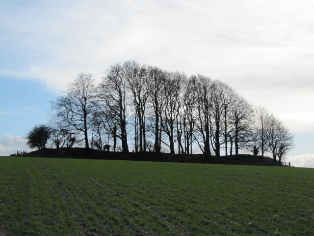 Tinhead Hill (Long Barrow) by tjj
