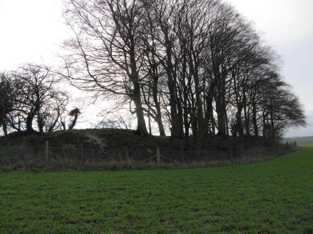 Tinhead Hill (Long Barrow) by tjj