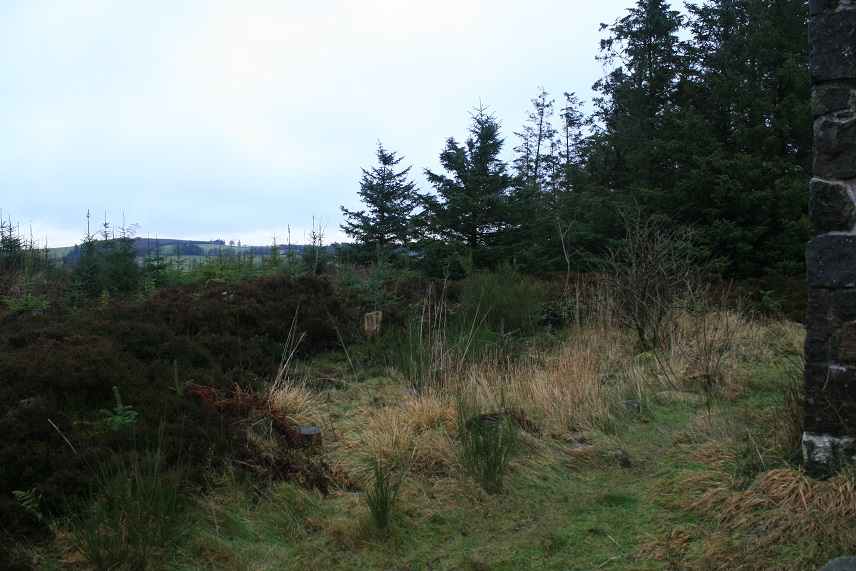 Selattyn Hill (Cairn(s)) by postman