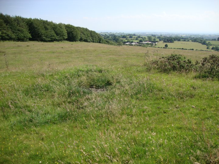 Beacon Hill (Round Barrow(s)) by Chance