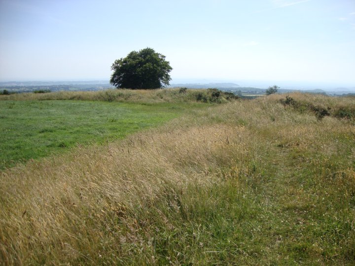 Maesbury Castle (Hillfort) by Chance