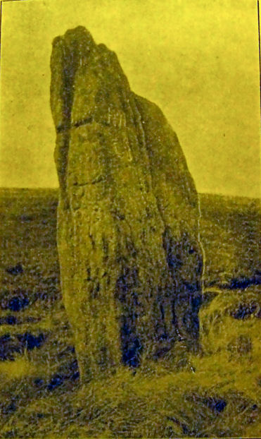 The Old Woman's Stone (Standing Stone / Menhir) by stubob