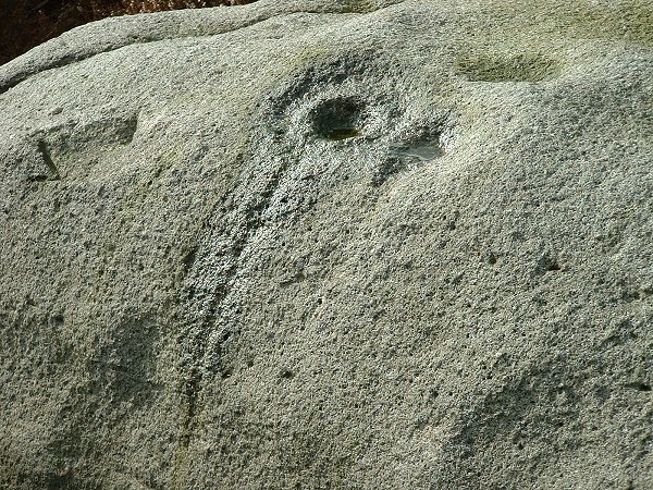Askwith Moor (Cup and Ring Marks / Rock Art) by Chris Collyer