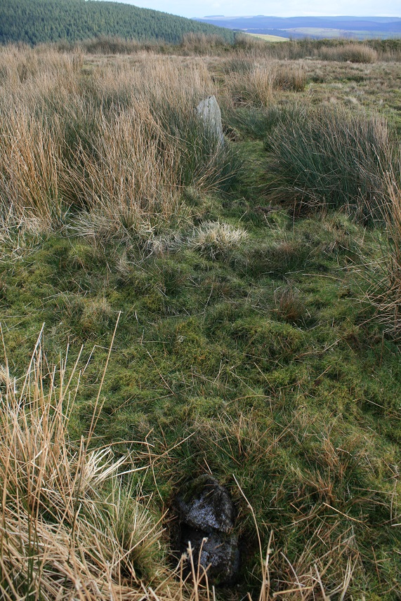 Cerrig Cynant (Stone Circle) by postman