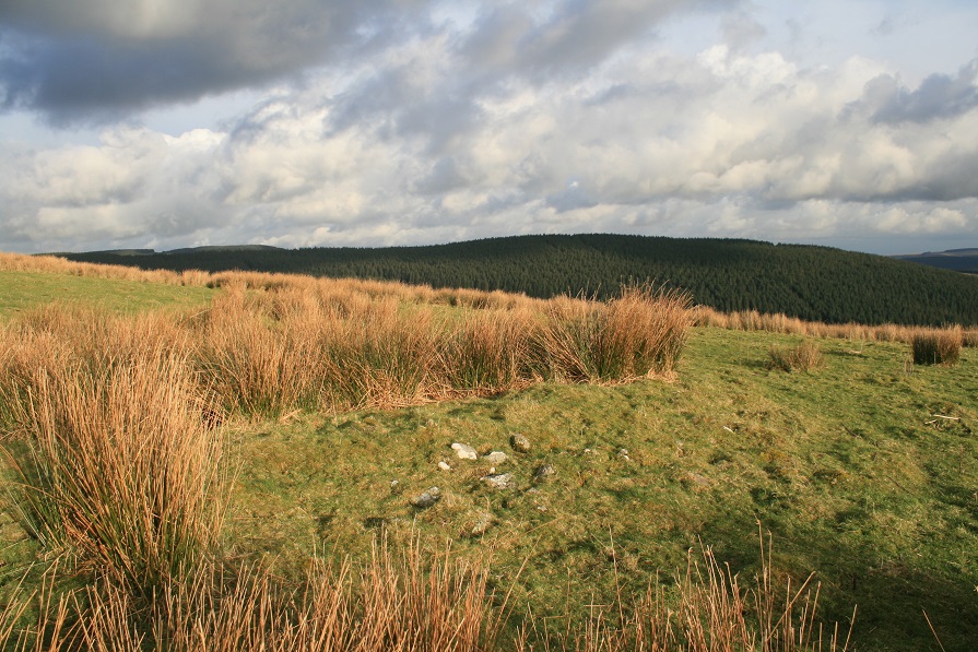 Bryn-Poeth-Uchaf North (Ring Cairn) by postman