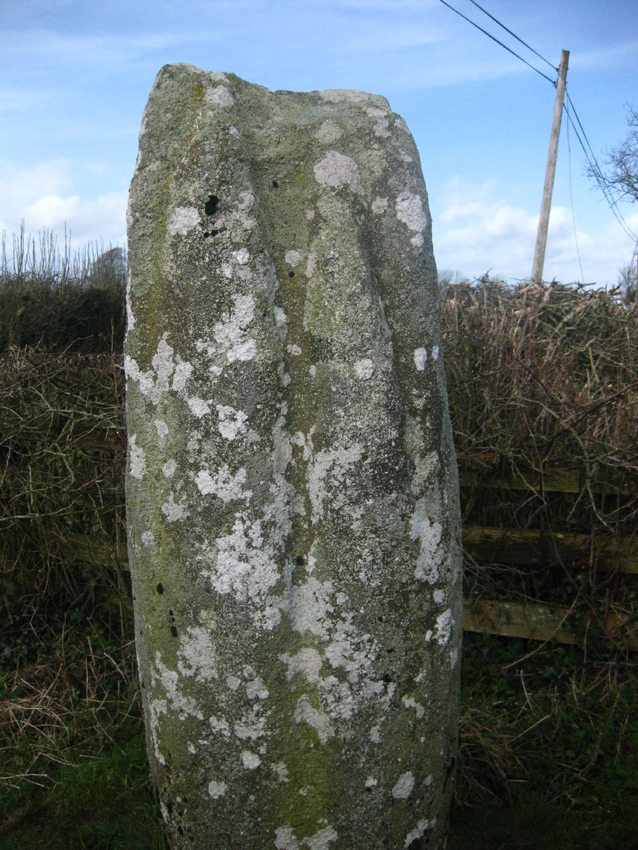 Mullamast Long Stone (Standing Stone / Menhir) by ryaner