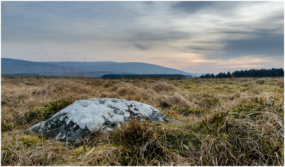 Hartleyburn Common (Cup Marked Stone) by Nigeve1