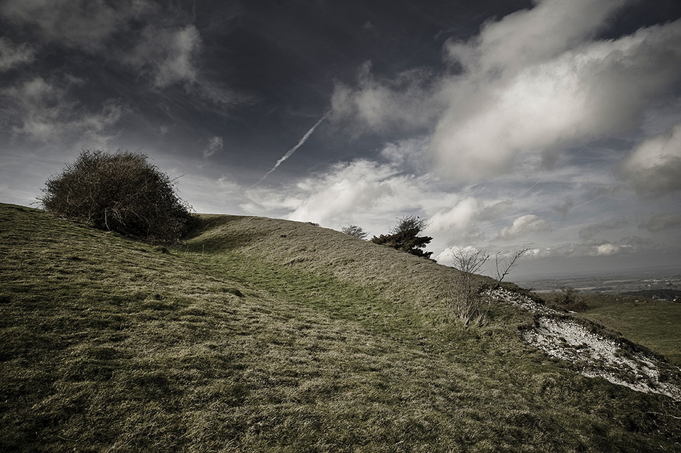Sullington Hill (Dyke) by A R Cane