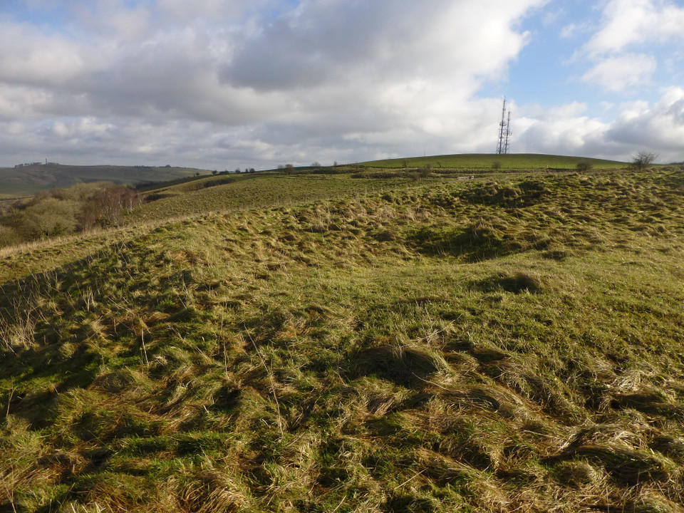 Morgan's Hill (Round Barrow(s)) by thesweetcheat