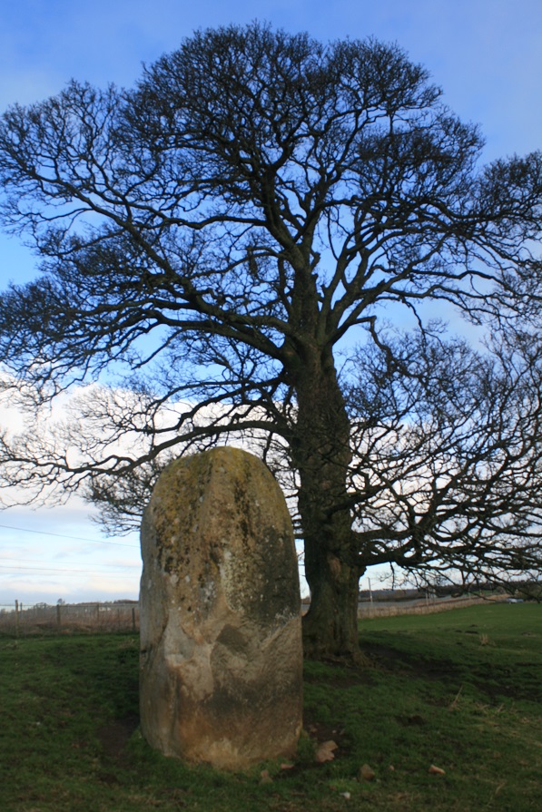 Holme Head (Standing Stone / Menhir) by postman