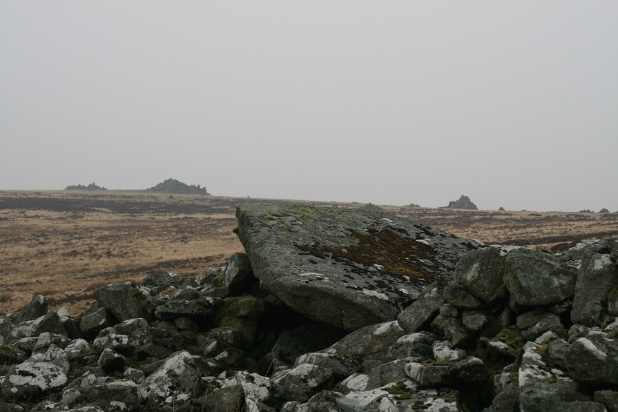 Carn Menyn Chambered Cairn (Chambered Cairn) by postman