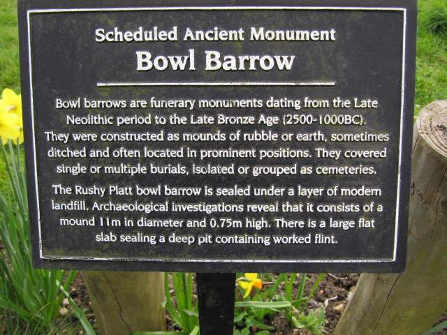 Rushy Platt Bowl Barrow (Barrow / Cairn Cemetery) by tjj