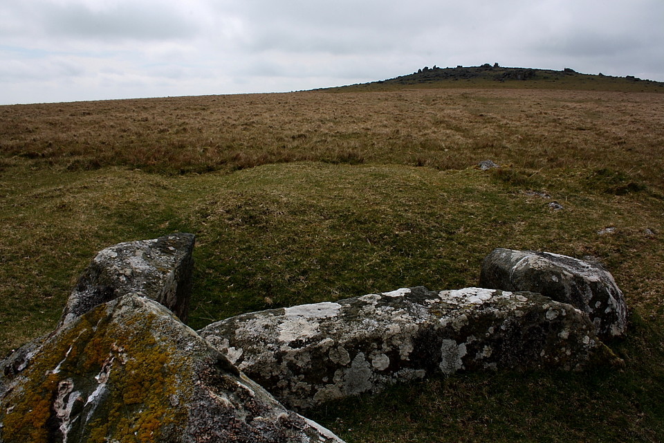 White Tor East (Cist) by GLADMAN