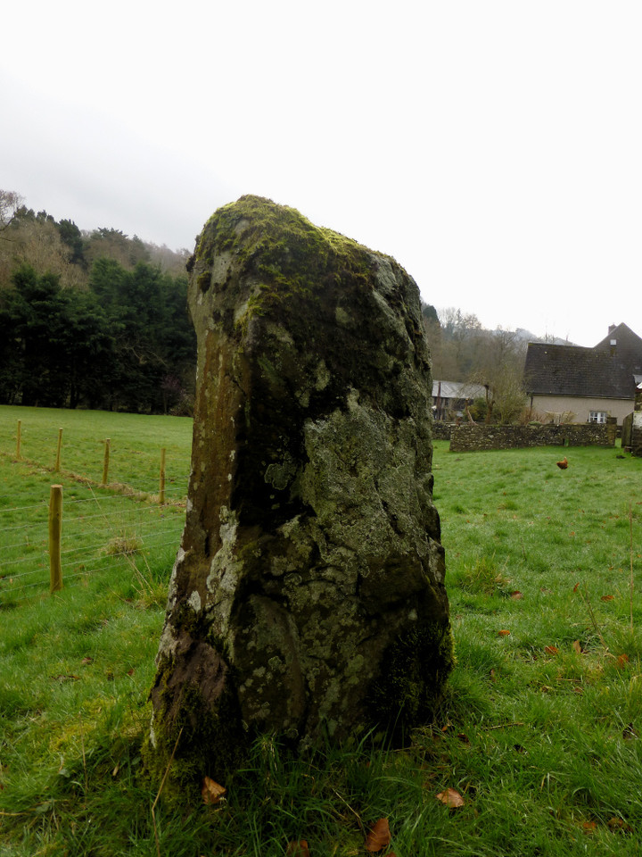 Llangenny (Standing Stone / Menhir) by thesweetcheat