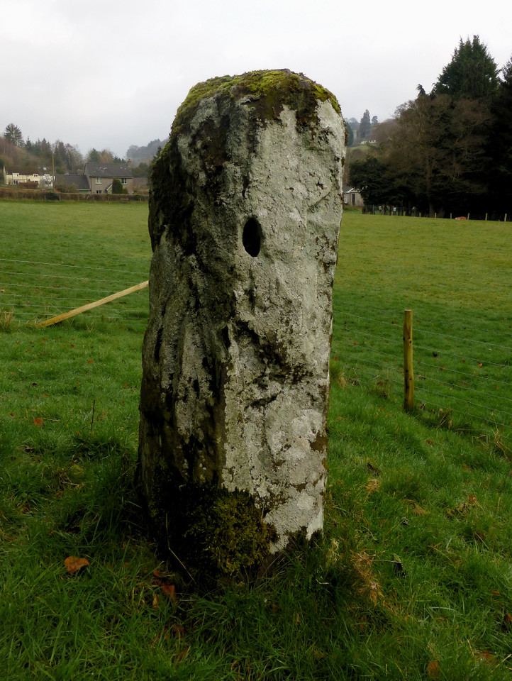 Llangenny (Standing Stone / Menhir) by thesweetcheat
