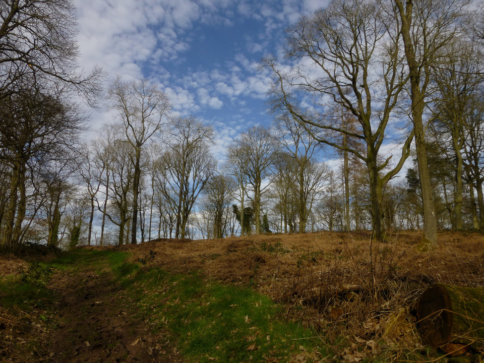 Aconbury (Hillfort) by thesweetcheat