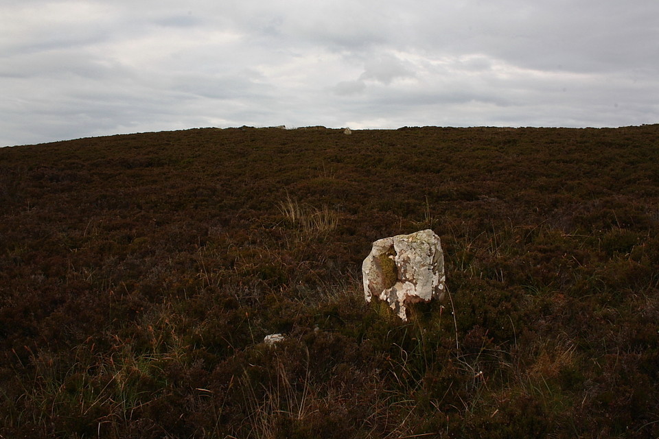 Garrywhin Stone Rows (Stone Row / Alignment) by GLADMAN