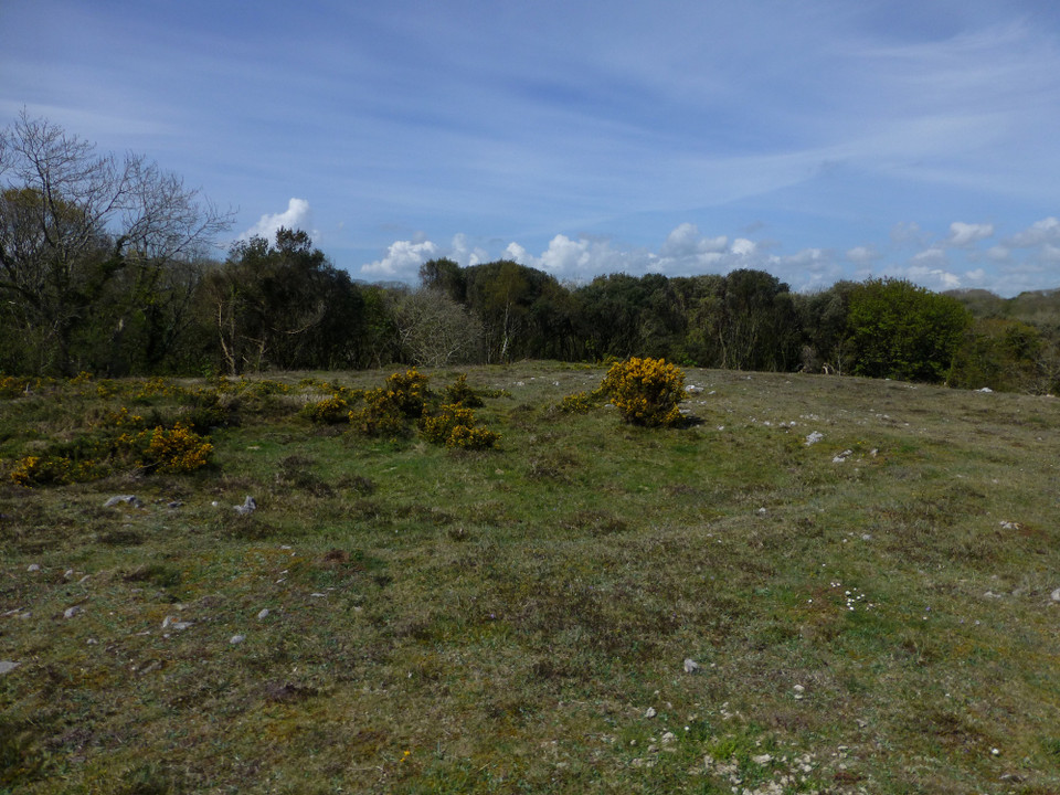 Stackpole Warren (Ancient Village / Settlement / Misc. Earthwork) by thesweetcheat