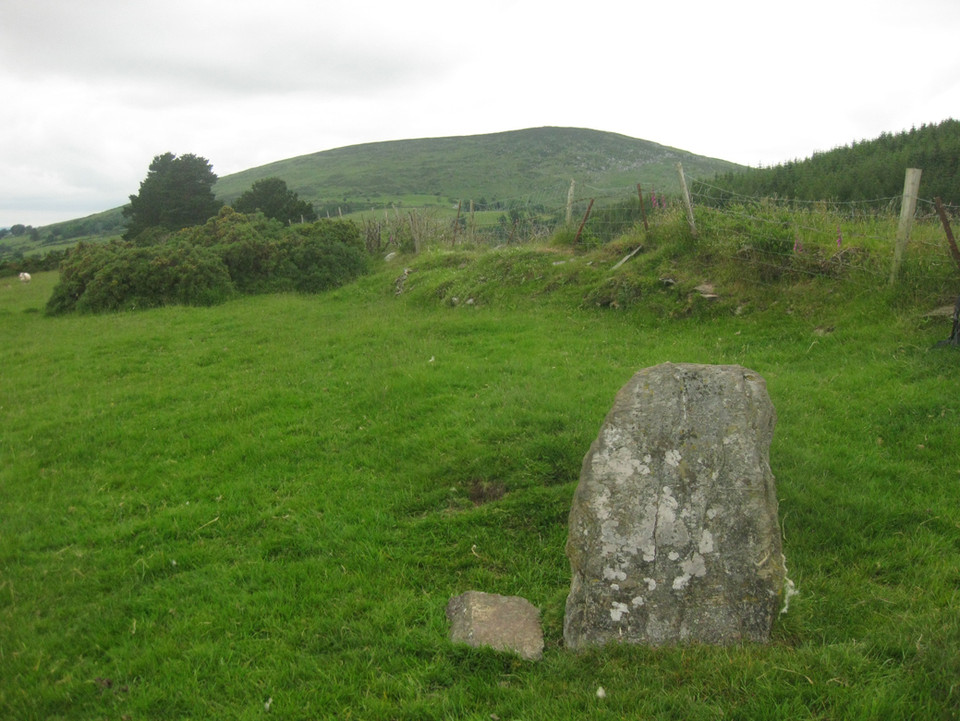 Athgreany standing stone (Standing Stone / Menhir) by ryaner
