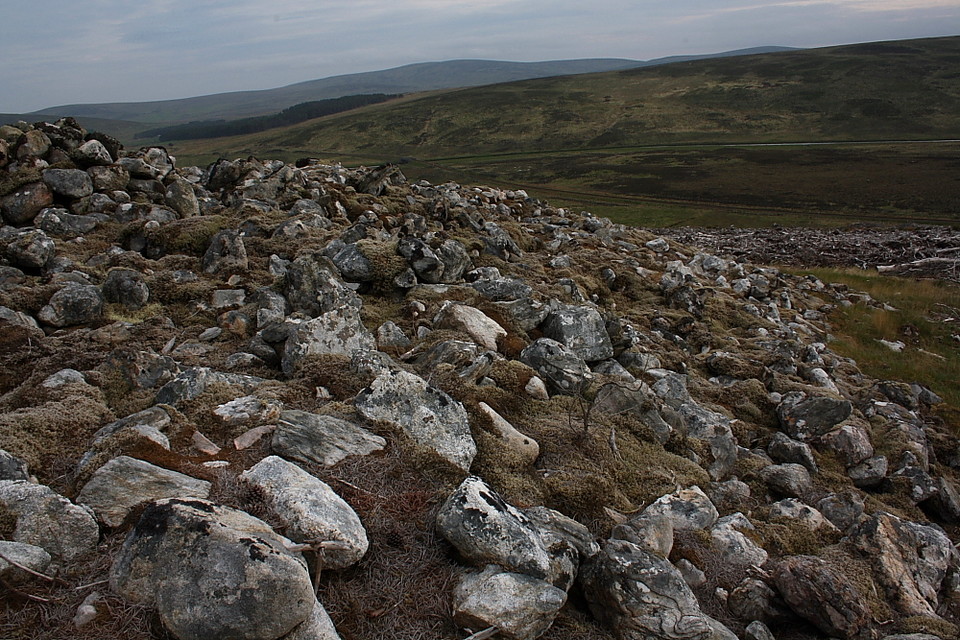 Kinbrace Hill (Chambered Cairn) by GLADMAN