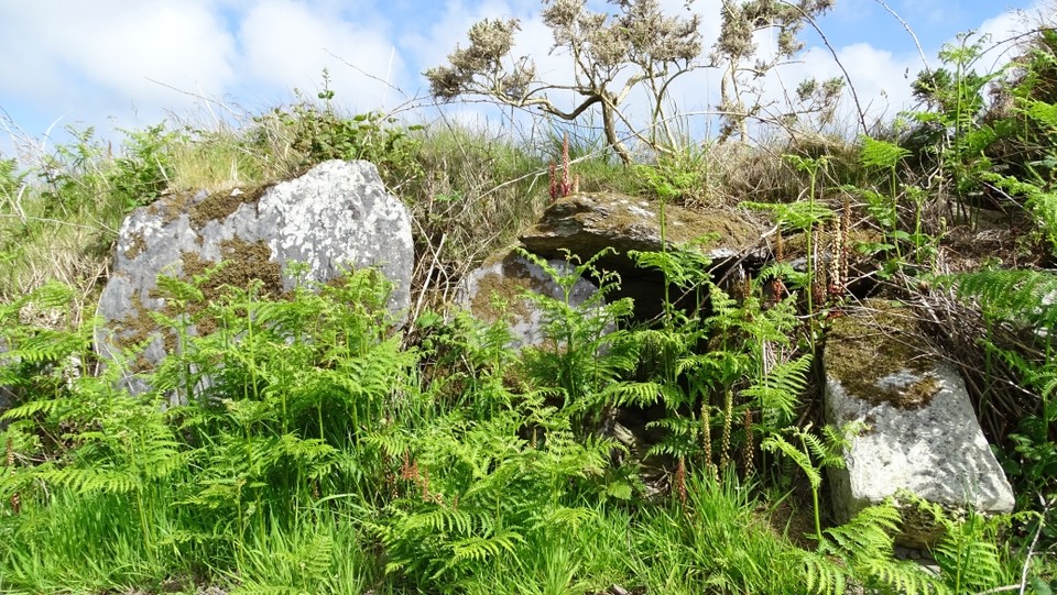 Ballydivlin (Wedge Tomb) by Nucleus