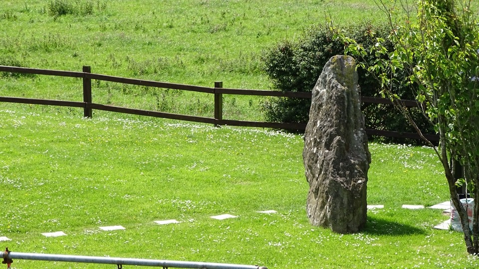 Caherdorgan North (Standing Stone / Menhir) by Nucleus