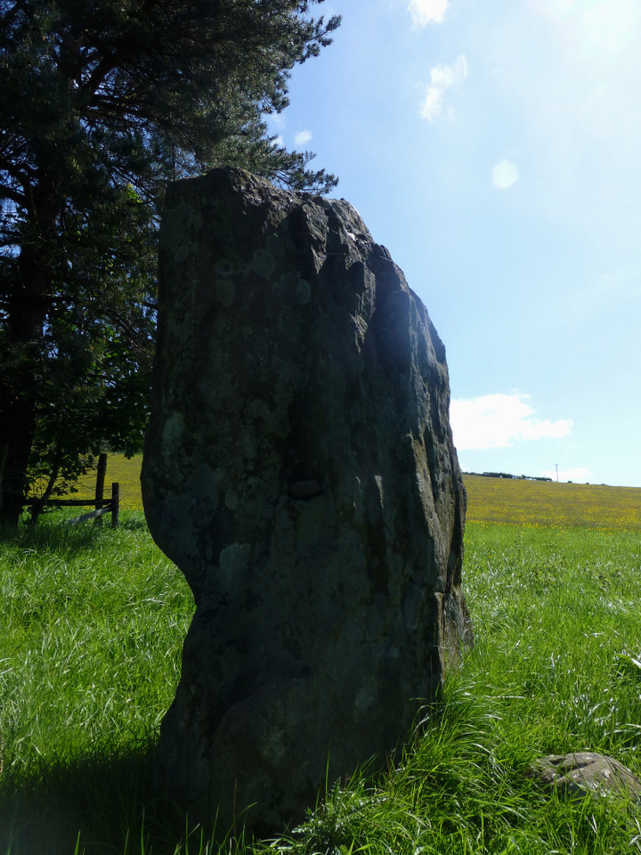 Standard Street (Standing Stone / Menhir) by thesweetcheat