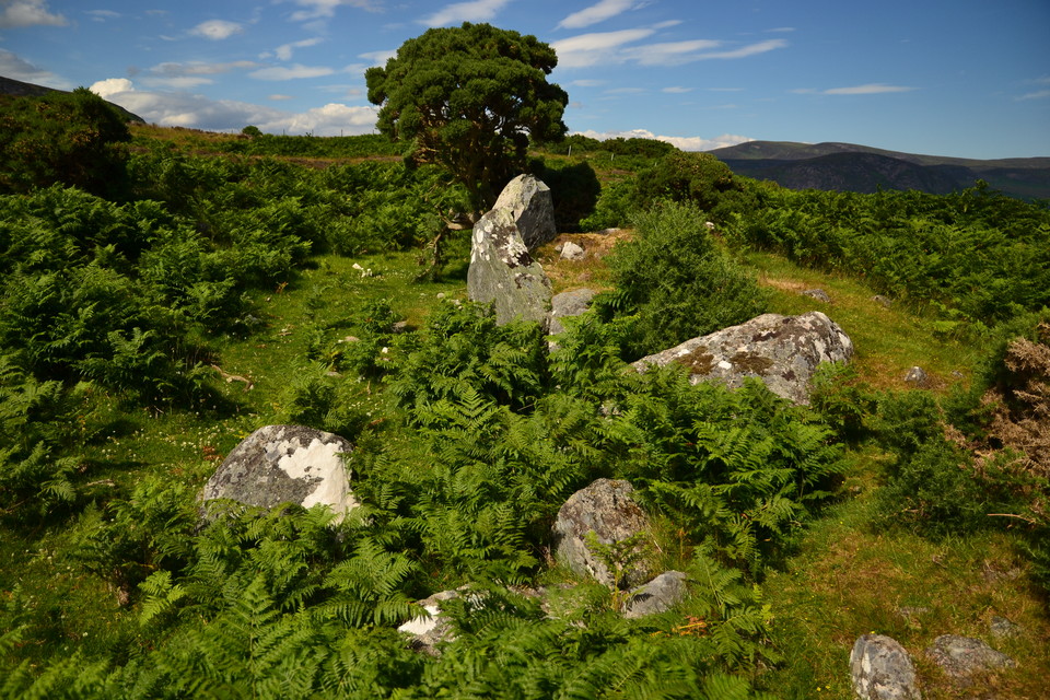 Cnoc Odhar (Chambered Cairn) by thelonious