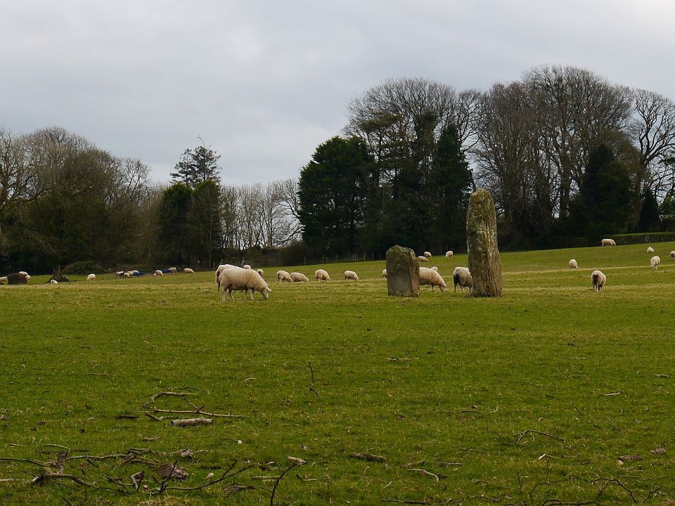Barryshall (Stone Row / Alignment) by Meic