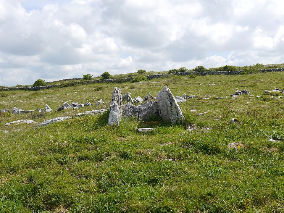 Parknabinnia (Cl. 66) (Wedge Tomb) by Meic