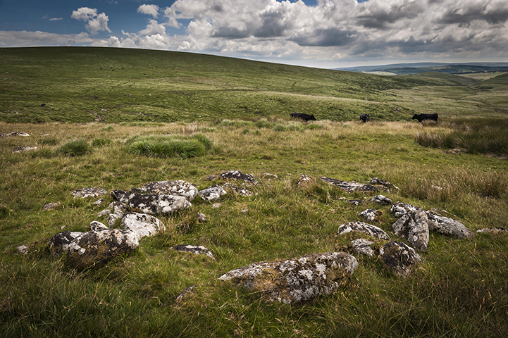 Sittaford Tor hut circles (Ancient Village / Settlement / Misc. Earthwork) by A R Cane