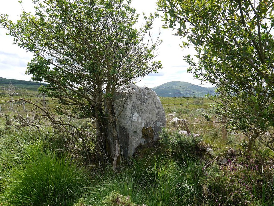 Dromatouk (Standing Stone / Menhir) by Meic