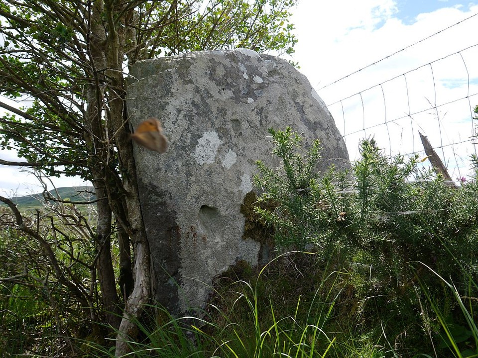 Dromatouk (Standing Stone / Menhir) by Meic