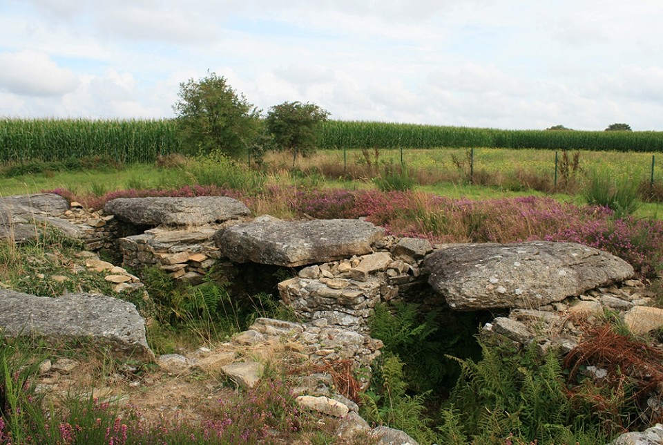 Larcuste cairns (Chambered Cairn) by postman
