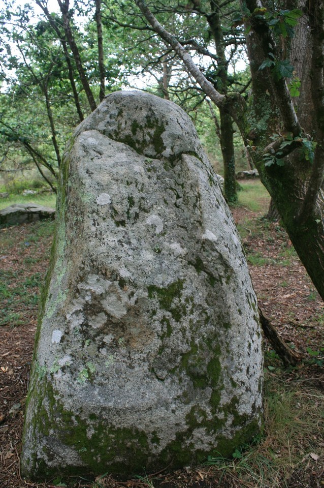 Menhirs de Kerjean (Alignement) by postman