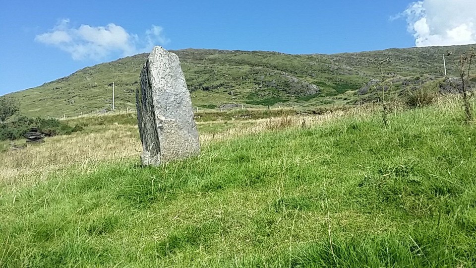Derrynafinchin (Standing Stones) by bogman