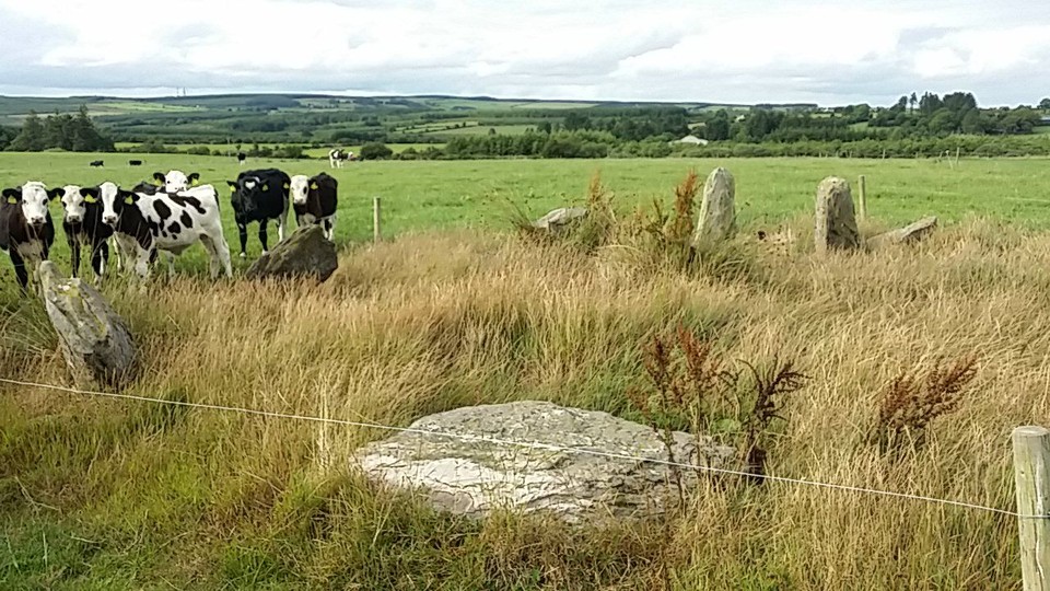 Gowlane North (Stone Circle) by bogman
