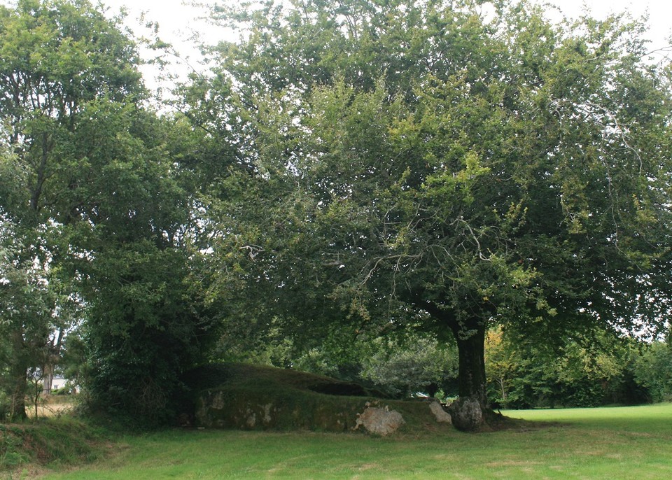 Ty Ar Boudiged (Chambered Tomb) by postman