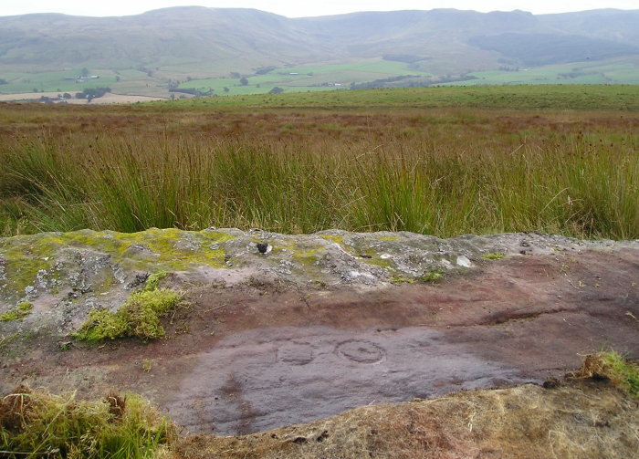 Broughmore Wood (Cup and Ring Marks / Rock Art) by tiompan