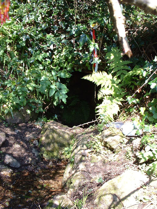 Alsia Holy Well (Sacred Well) by Alchemilla