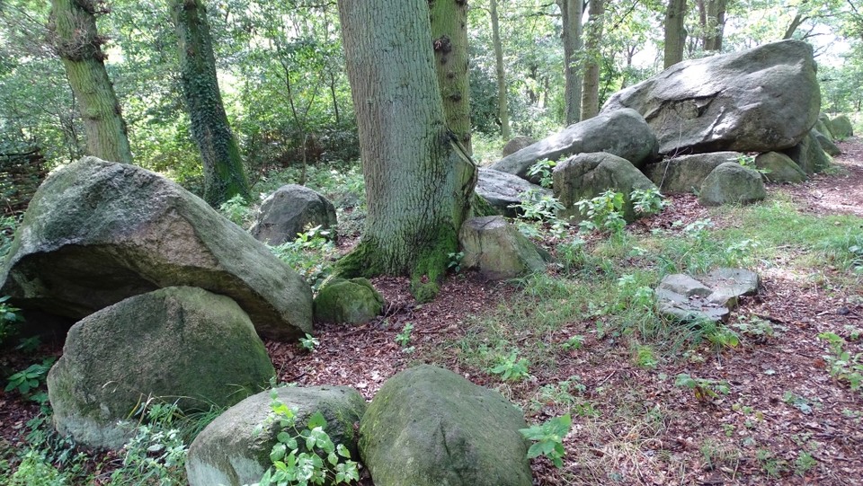Darpvenner Steine 1 (Passage Grave) by Nucleus