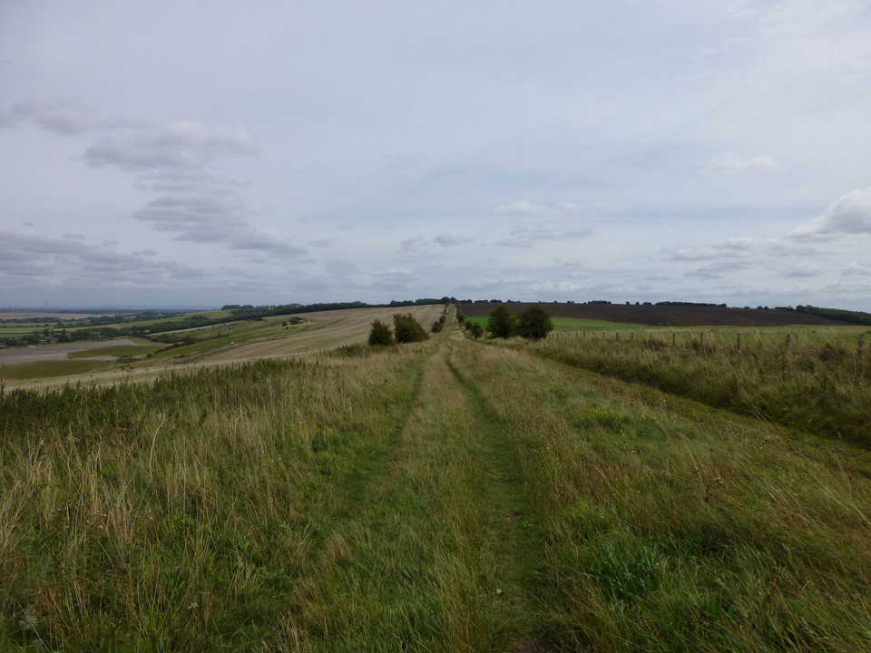 The Ridgeway (Ancient Trackway) by thesweetcheat