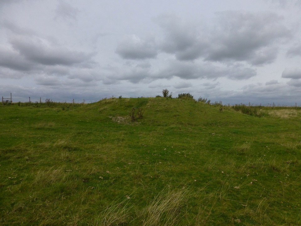 Hackpen Hill (Oxfordshire) (Round Barrow(s)) by thesweetcheat