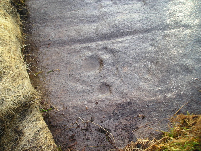 Cloanlawers (Cup and Ring Marks / Rock Art) by tiompan